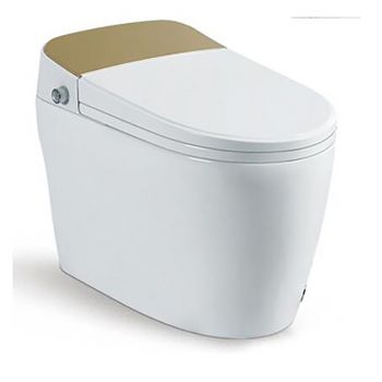 Bồn Cầu Điện Tử AC1216 Gold